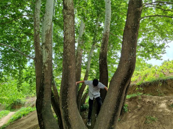 اردوی دانش‌آموزان دبیرستان نمونه دولتی پژوهش آشخانه 