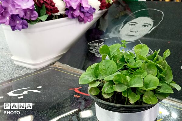 حال و هوای اولین پنجشنبه سال ۱۴۰۵ در گلزار شهدا
