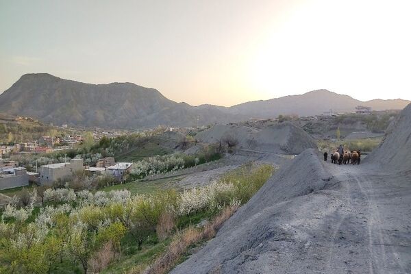 شهر بار نگین سبز خراسان رضوی میزبان فصل بهار 
