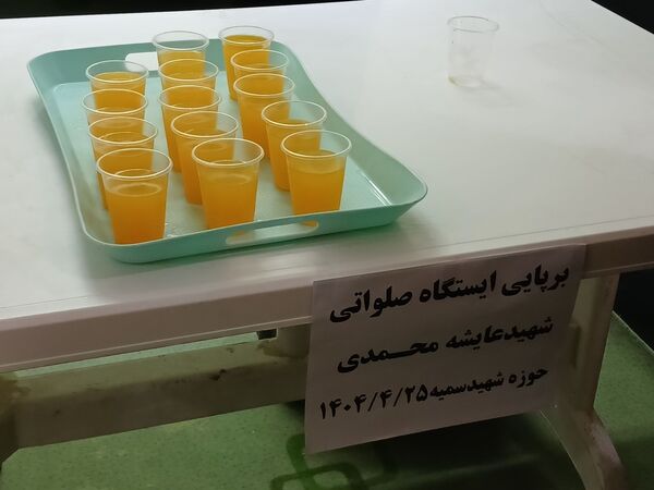 گرامیداشت ۲۸ زن شهیده در کامیاران؛ ترویج ایثار و فداکاری
