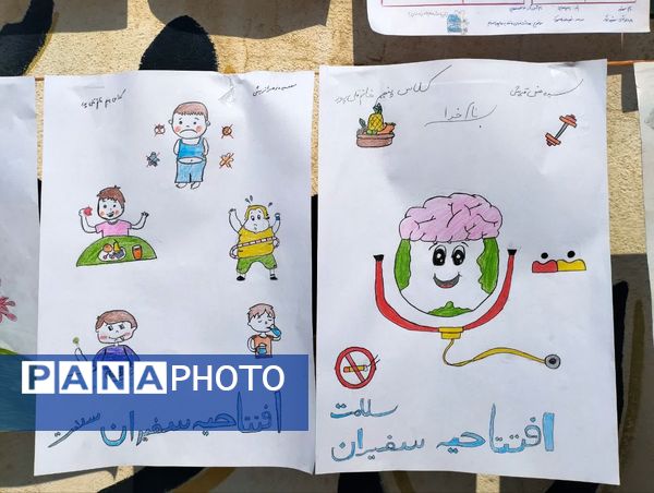 افتتاحیه طرح سفیران سلامت در میاندورود 