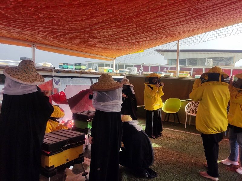 از خانه‌ای با شیشه‌های رنگی تا کندوی 6 ضلعی زنبورها

