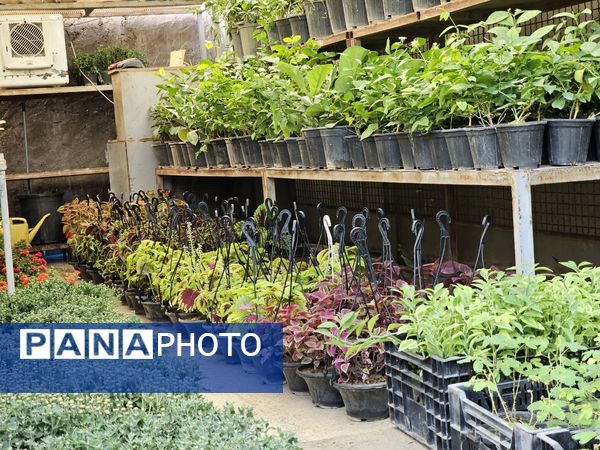 حال و هوای خاص در بازار گل محلاتی