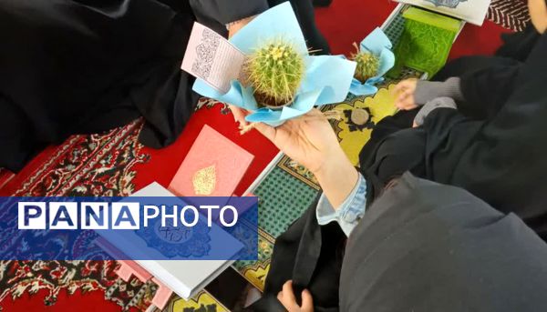 در پرتو آیات الهی؛ روایت لحظاتی از نور و اندیشه