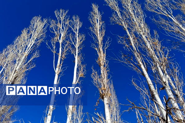 خزان زیبا در کوچه باغ‌های شهر بهمن