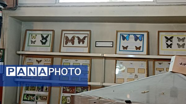 بازدید خبرنگاران پانا از موسسه گیاه شناسی کشور 