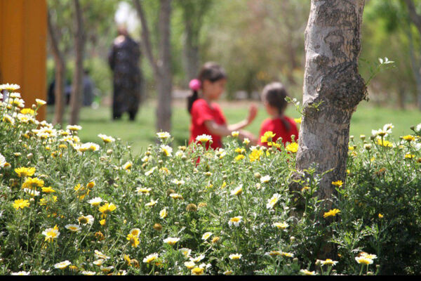 جلوه هایی از دورهمی روز طبیعت در بوستان‌های قم