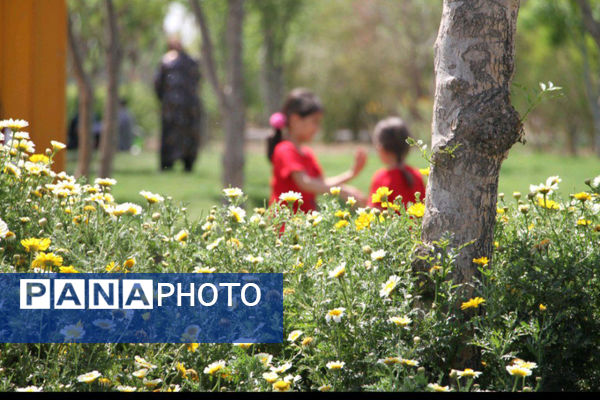 جلوه هایی از دورهمی روز طبیعت در بوستان‌های قم