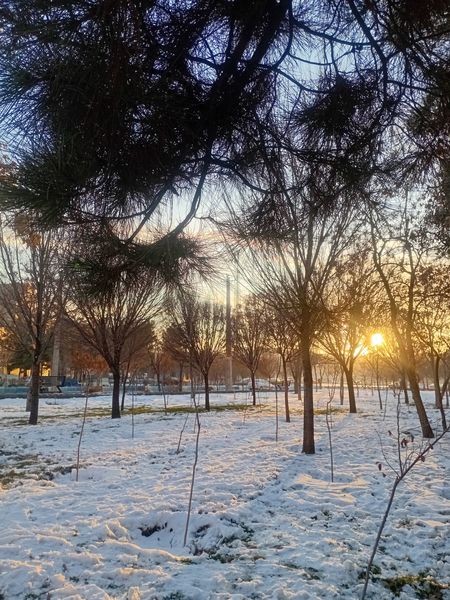 روزهای برفی تبریز از پشت پنجره