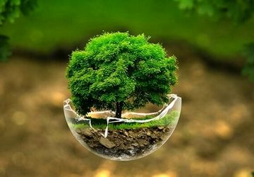 روز جهانی عدم استفاده از کیسه‌های پلاستیکی