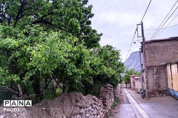 حال و هوای شهر بار بعد از بارش زیبای باران 