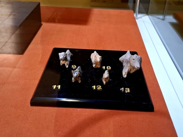 گشتی در تاریخ؛ از مدرسه دارالفنون به سمت دوره ایران باستان