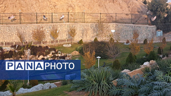 باغ پرندگان قم: جاذبه‌ای بی‌نظیر در قلب کشور