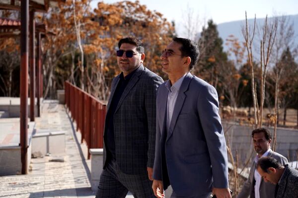طرح تمشک در لرستان به ایستگاه پایانی رسید