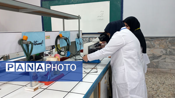 مسابقات علمی علوم تجربی در پژوهش سرای رازی مشهد 