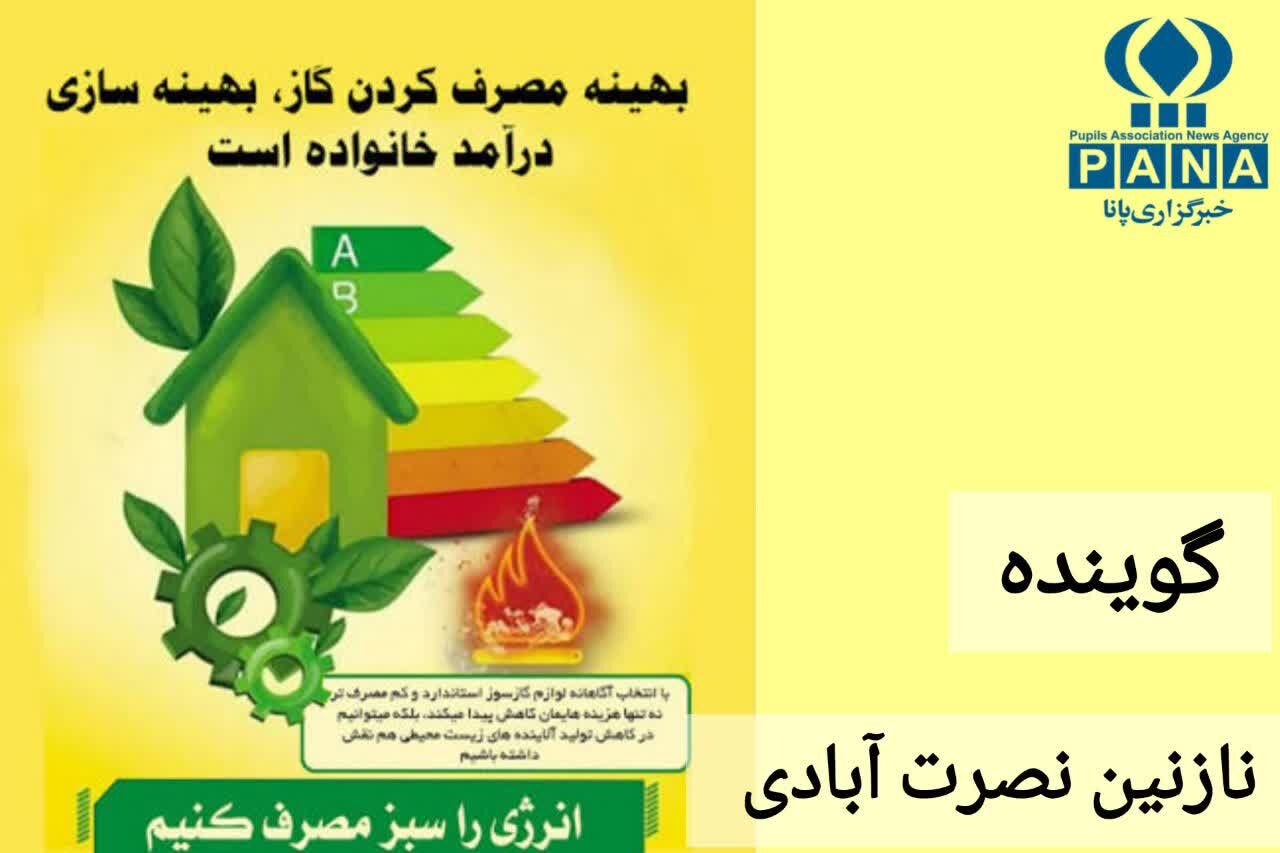 افزایش مصرف گاز در روز های سرد سال، زنگ هشدار برای مدیریت انرژی است