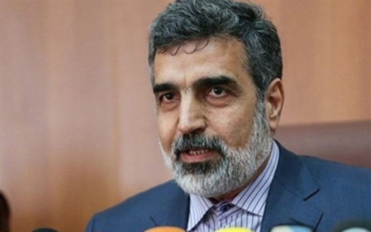 کمالوندی: در صورت خروج از برجام ظرفیت واقعی غنی‌سازی کشور را نمایش می‌دهیم