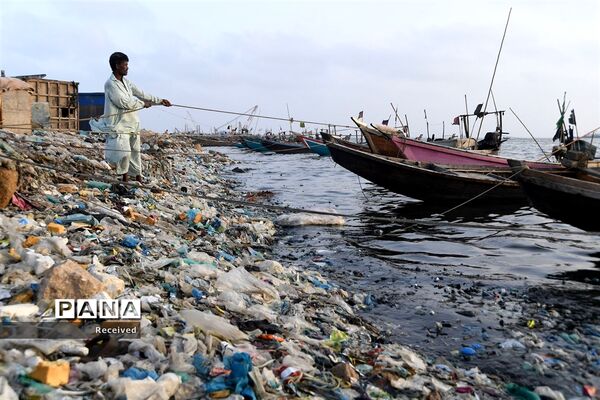 زندگی پلاستیکی، مرگ طبیعت