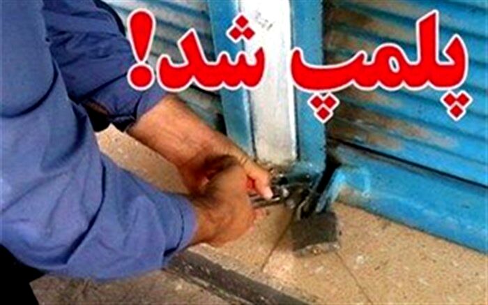 پلمب 13 واحد صنفی متخلف در شازند