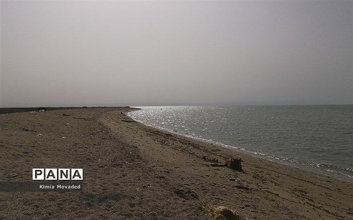 مدیرکل پزشکی قانونی مازندران: مسافران صرفا در محدوده‌های طرح «سالم سازی»  دریا شنا کنند