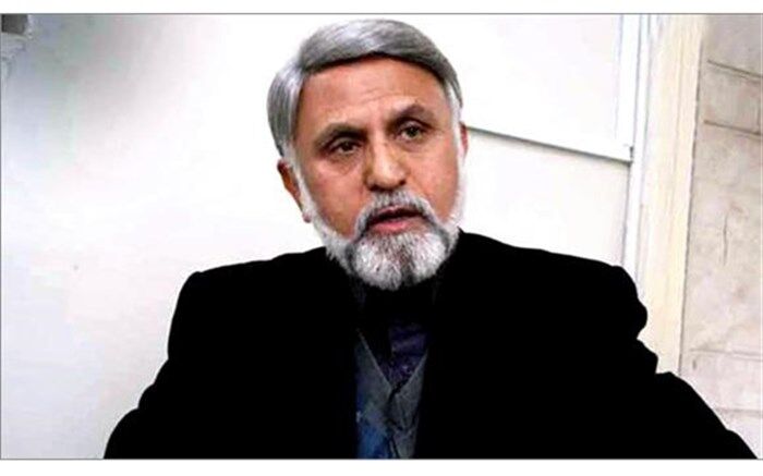 رئوفیان: مخالفان دولت، تشکیلاتی و سازمانی مخالفت می‌کنند