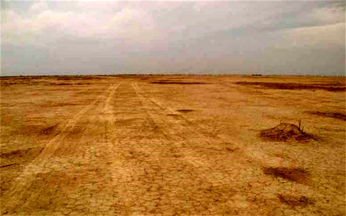 ضرورت بهره گیری از روش های مدیریت تطبیقی نوین سازگار با  اکوسیستم تالاب هامون