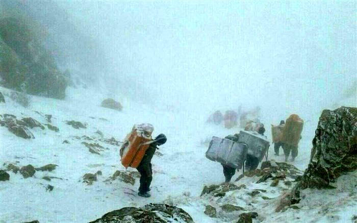 آخرین وضعیت آراء مردمی مسابقه « مسابقه دستم را بگیر»