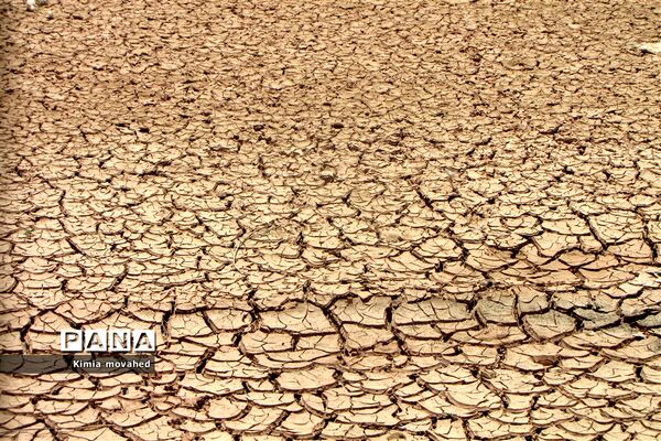 آخرین تلاش برای زندگی