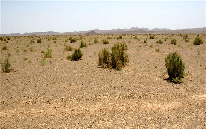 طرح ترسیب کربن در 9 شهرستان خراسان جنوبی اجرا می شود