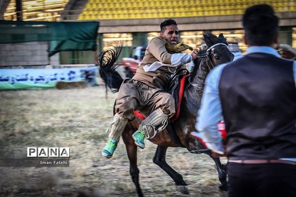 دومین جشنواره  ملی اسب کرد