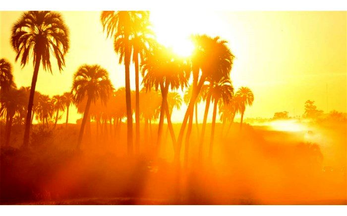 ماندگاری هوای گرم در جنوب کشور