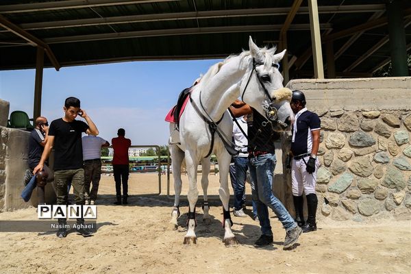 مسابقات پرش با اسب