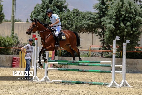 مسابقات پرش با اسب