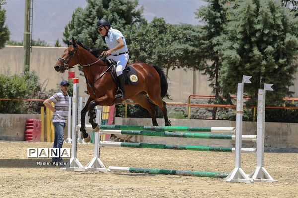 مسابقات پرش با اسب