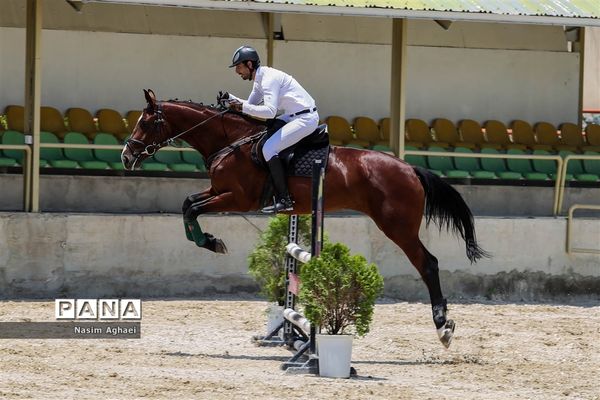 مسابقات پرش با اسب