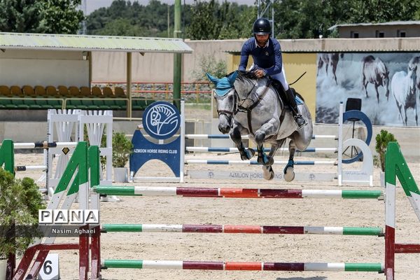مسابقات پرش با اسب