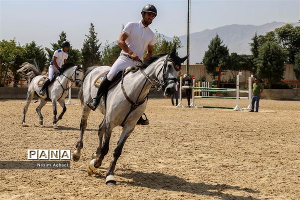 مسابقات پرش با اسب