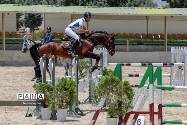 مسابقات پرش با اسب