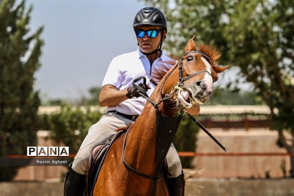 مسابقات پرش با اسب