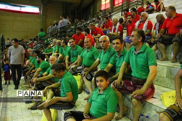 آیین کشوری ترویج فرهنگ پهلوانی