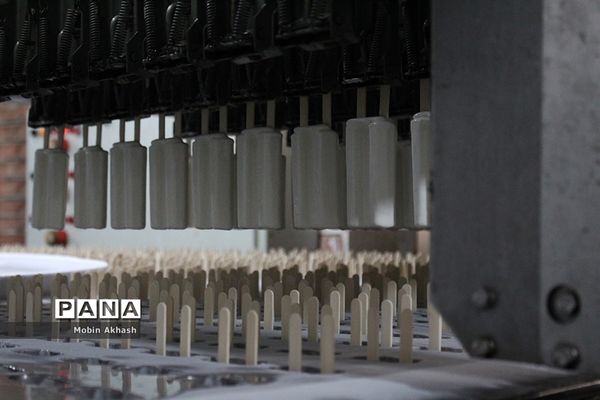 بازدید استاندار آذربایجان شرقی از واحد های تولیدی و صنعتی شهرک سلیمی