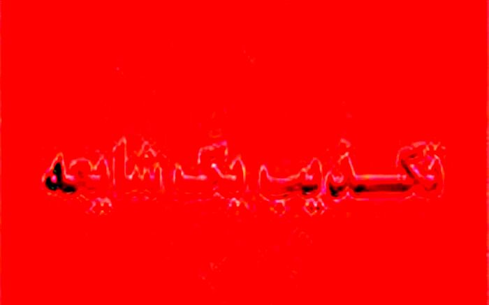 تکذیب ادعاها درباره دیدار واعظی با آیت الله نوری همدانی