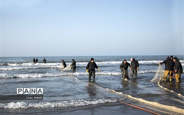 همزمان با هفته المپیک جشنواره ماهیگیری در ارومیه برگزار شد