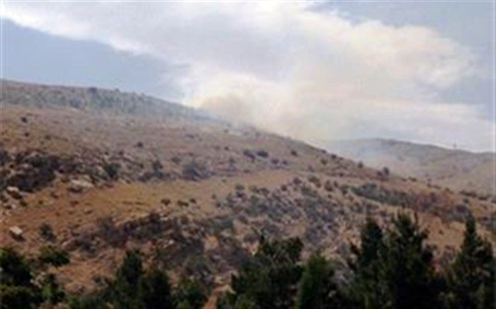 آتش سوزی در جنگلهای رستم فارس