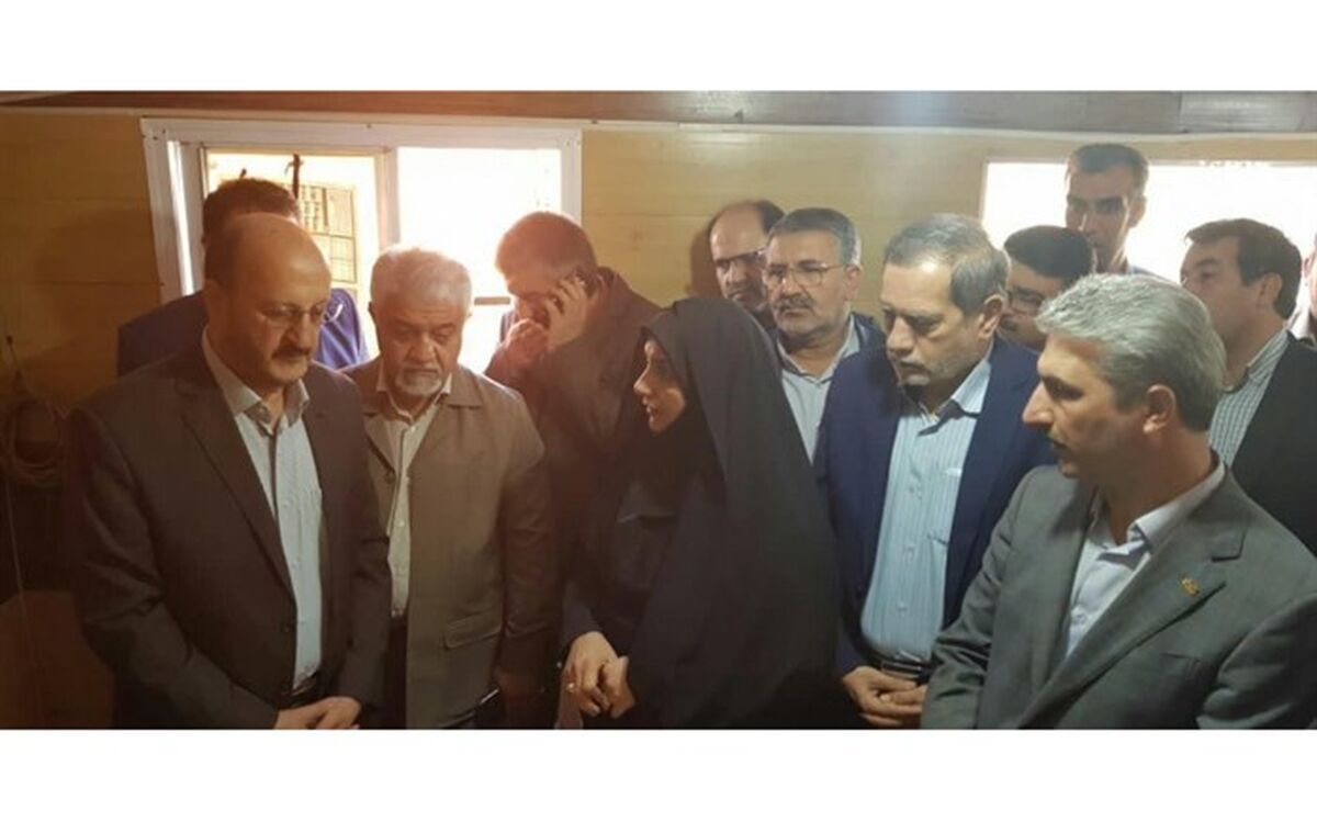 ۱۲۰ هزار تن گندم از کشاورزان استان قزوین خریداری شد