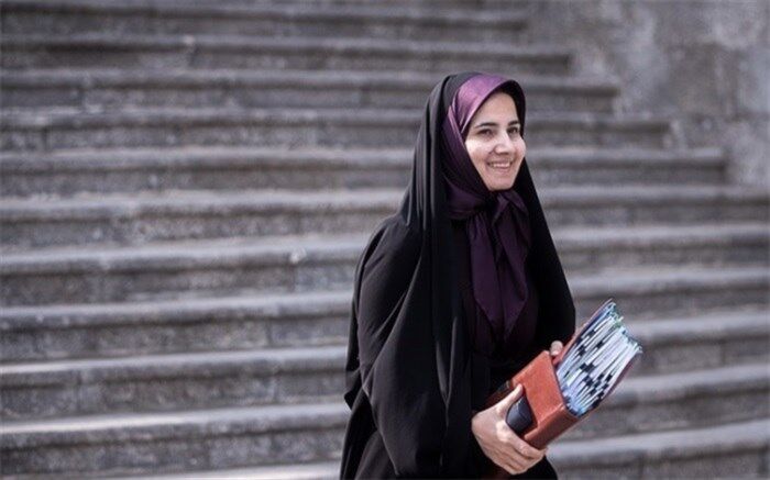 جنیدی: معاونت حقوقی رئیس‌جمهوری  بر روی لایحه شفافیت بررسی‌های جامعی انجام داده است