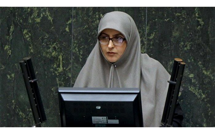 طیبه سیاوشی، نماینده مجلس: با اجرای آزمایشی لایحه حمایت از کودکان مخالفیم