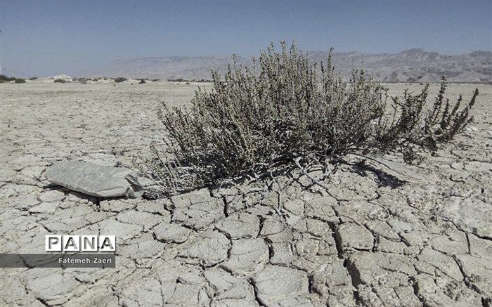 چرا طرح تشکیل وزارت «آب، محیط زیست و منابع طبیعی» مسکوت ماند