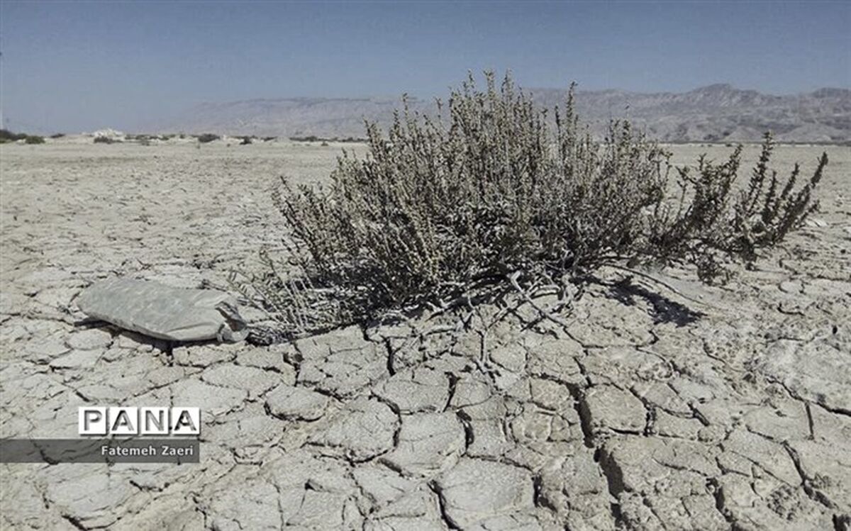 چرا طرح تشکیل وزارت «آب، محیط زیست و منابع طبیعی» مسکوت ماند