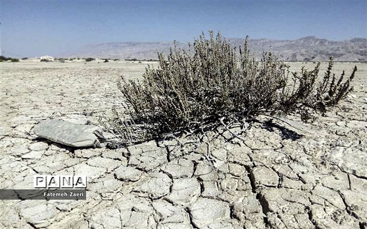 چرا طرح تشکیل وزارت «آب، محیط زیست و منابع طبیعی» مسکوت ماند